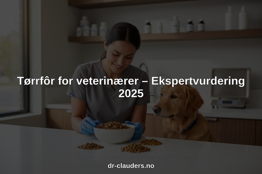 Tørrfôr for veterinærer – Ekspertvurdering 2025