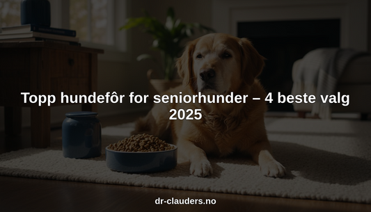 Topp hundefôr for seniorhunder – 4 beste valg 2025