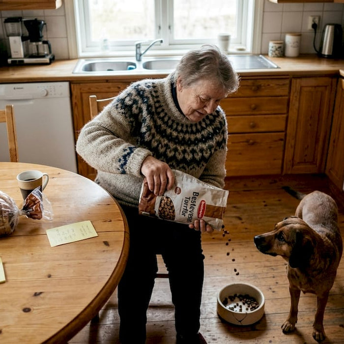 En hund sitter tålmodig og venter foran matskålen sin på kjøkkenbordet.