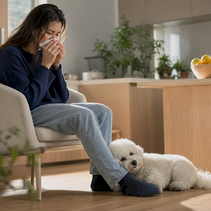 En kvinne koser seg hjemme sammen med sin allergivennlige hund i et lyst og trivelig rom.