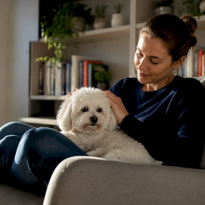En kvinne koser med en allergivennlig hund i stua.