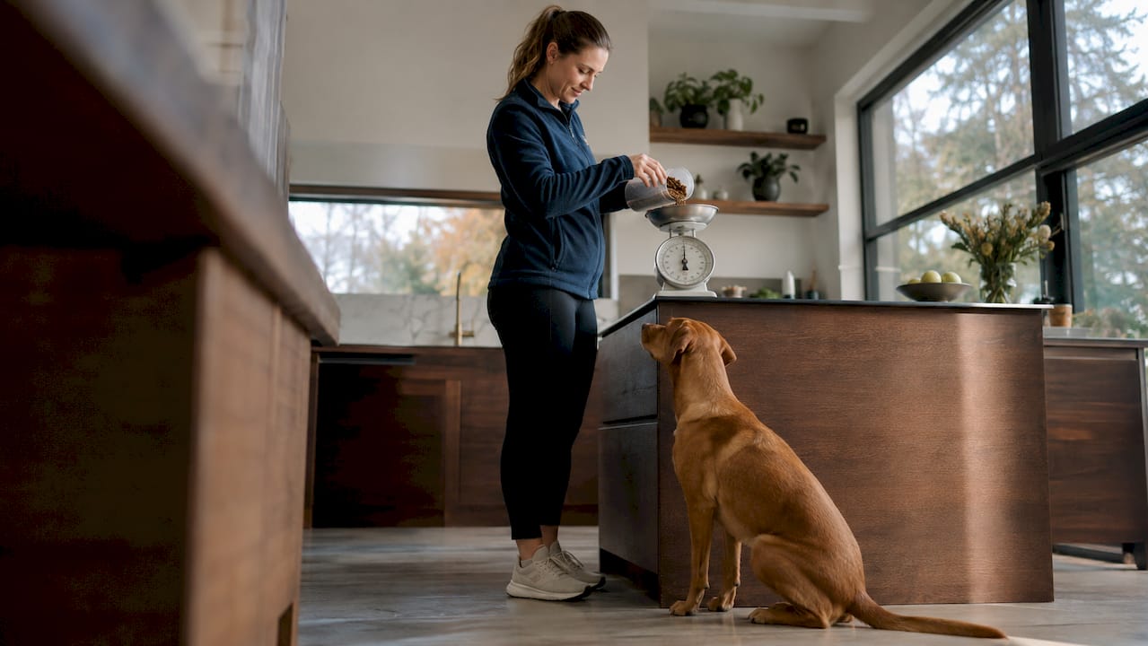 En dame står på kjøkkenet og veier opp hundemat, mens hunden hennes venter spent ved siden av.
