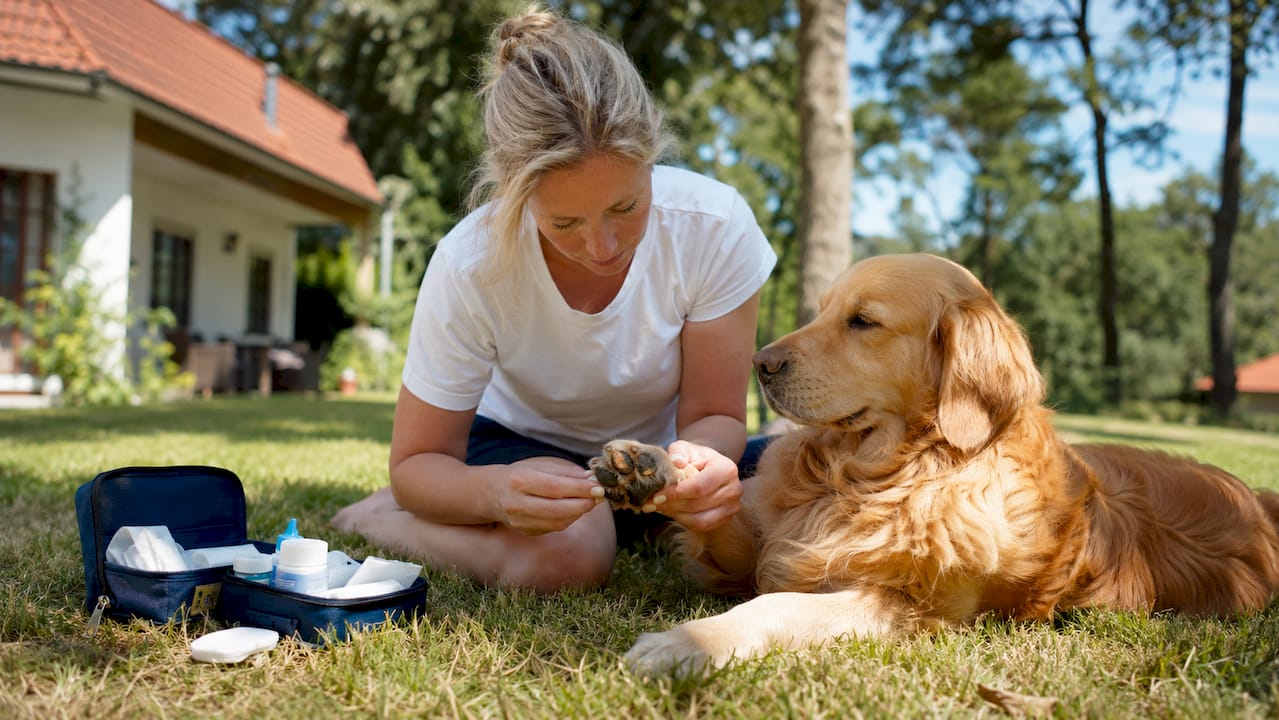 En hundeeier tørker av potene til hunden sin ute.