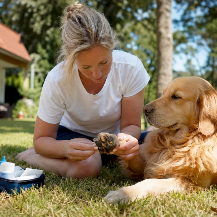 En hundeeier tørker av potene til hunden sin ute.