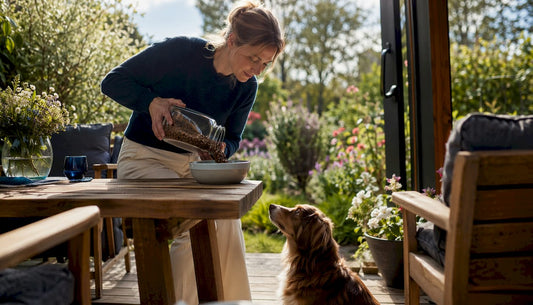 Mat for hunder med sensitiv mage: råd og riktig fôr
