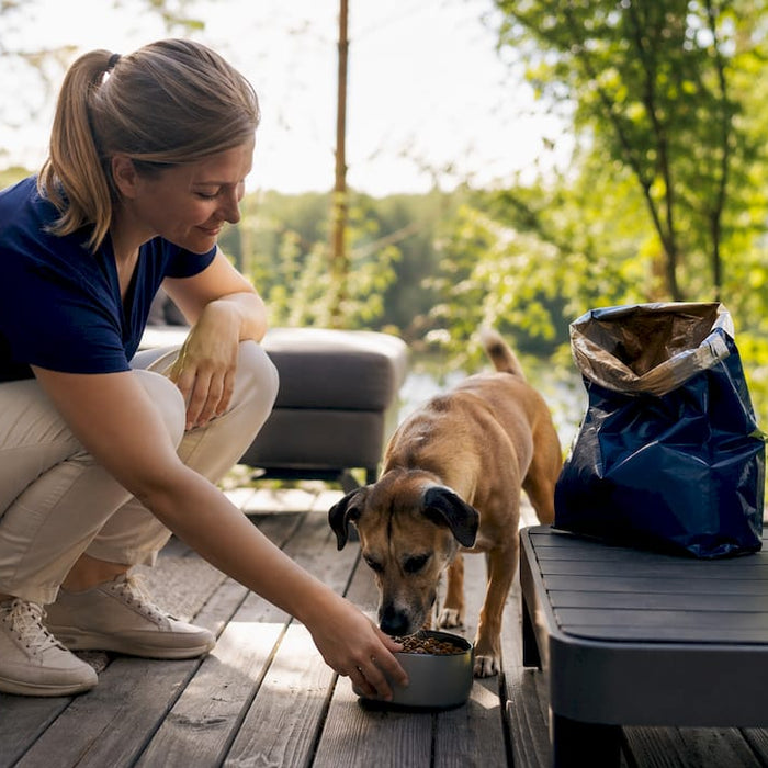 En kvinne står på kjøkkenet og gir hunden sin mat.