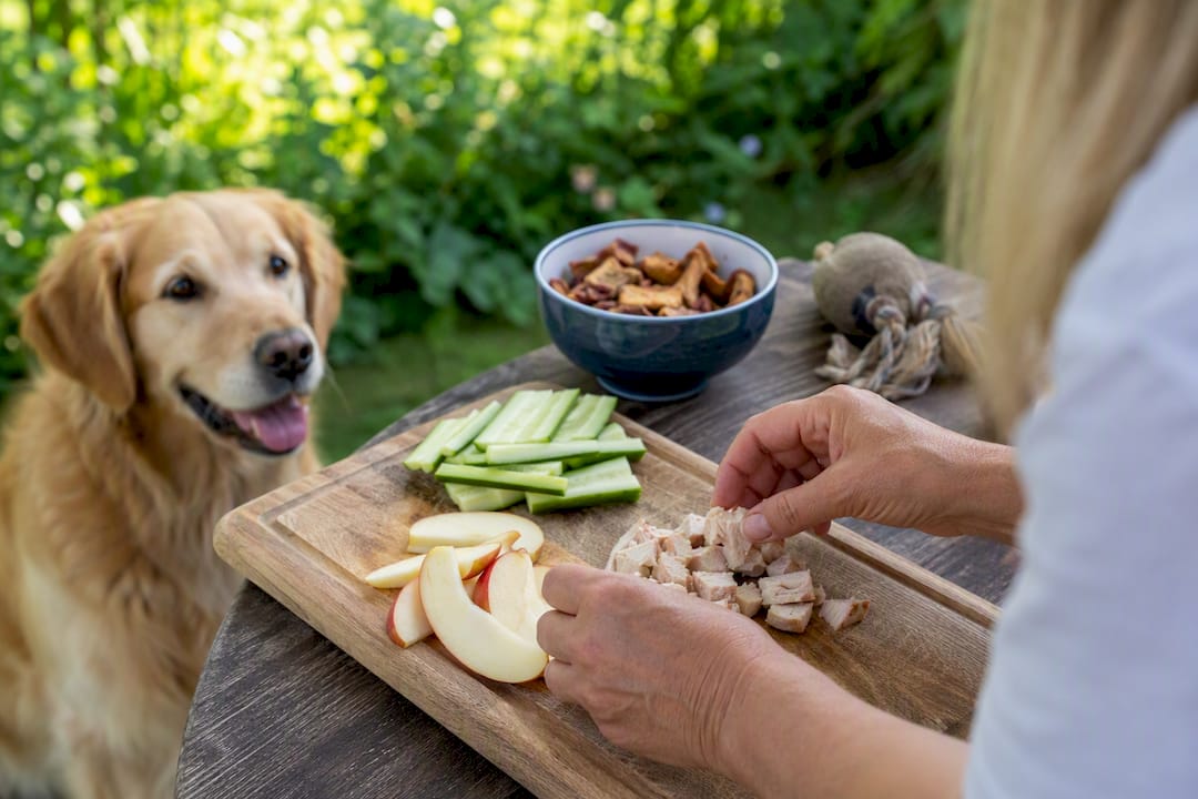 Hender som lager sunne hundegodbiter på kjøkkenet