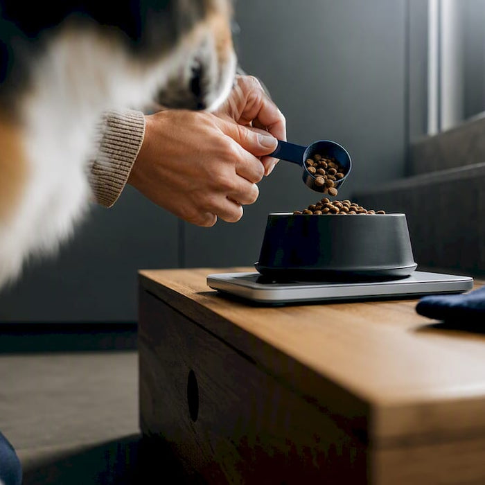 Hundeeier måler opp hundens daglige matmengde