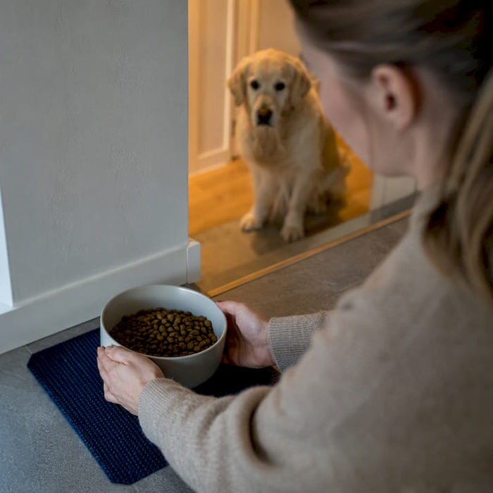 Hund som venter ved skålen med tørrfôr