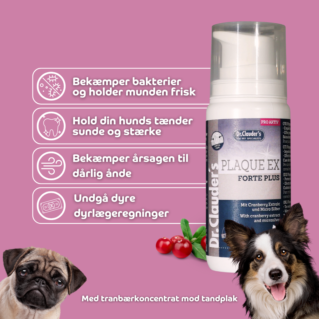Hundetandpasta & Tandpasta til Katte | Mod Plak, Tandsten & Dårlig ånde