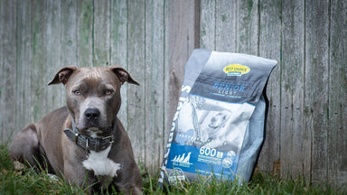 12,5kg Senior Hundefoder Light | Glutenfri | Dr.Clauder's Tørfoder