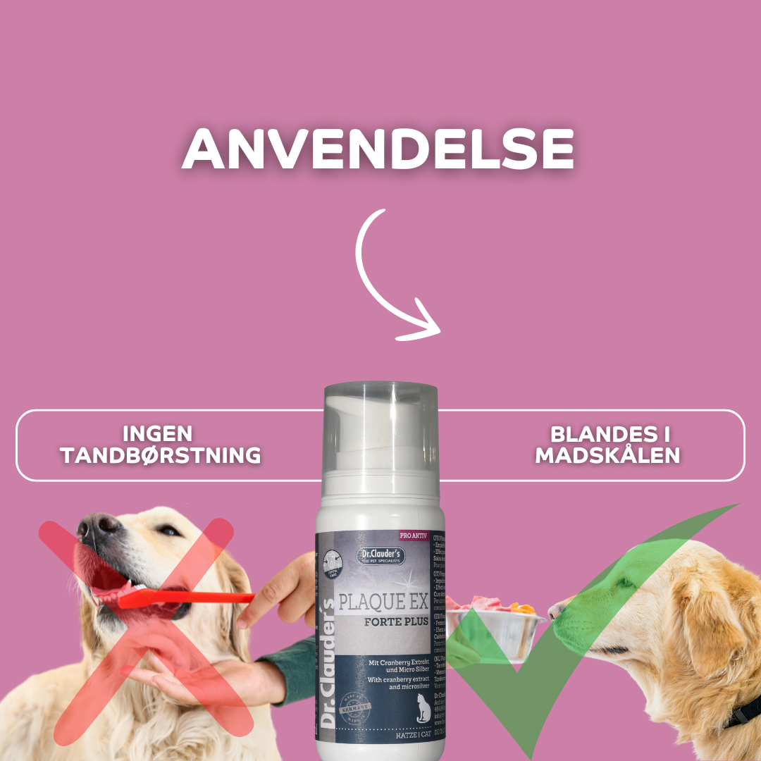 Hundetandpasta & Tandpasta til Katte | Mod Plak, Tandsten & Dårlig ånde