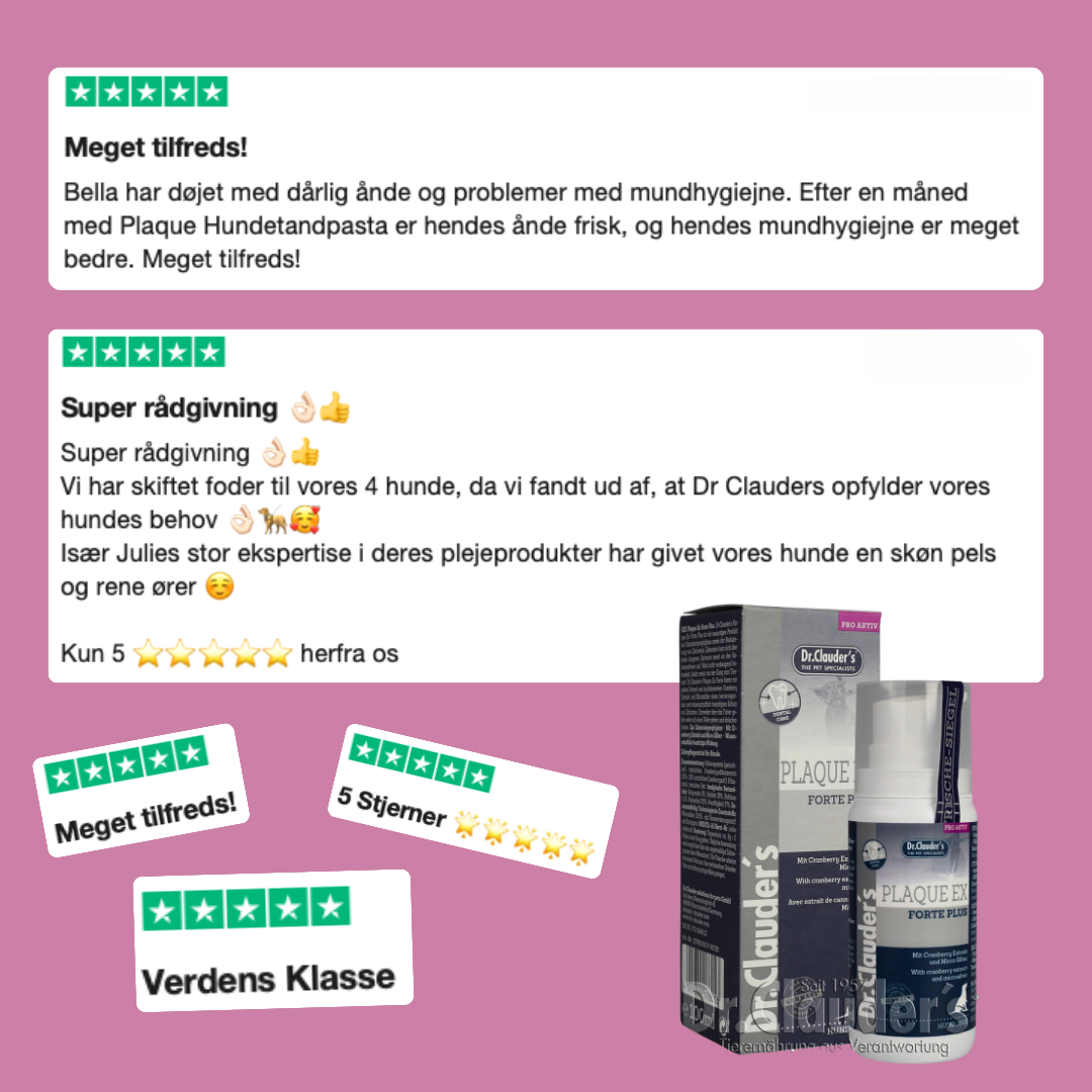 Hundetandpasta & Tandpasta til Katte | Mod Plak, Tandsten & Dårlig ånde